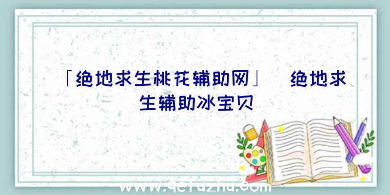 「绝地求生桃花辅助网」|绝地求生辅助冰宝贝